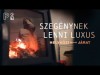 “A politikus meg én az ég és föld” | Ág ~ Helyközi Járat