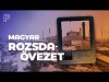 A rendszerváltás sokkja, amely még ma is érezteti hatását