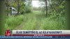 Élve temették el az üzletasszonyt