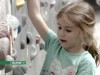 Kibeszélő (2017-05-30) - Echo Tv