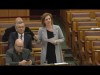 Hegedűs Lorántné a 2018-as költségvetés vitájában (2017.06.12.)