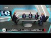 Lukács László az RTL Klub Magyarul Balóval c. műsorában (2017.10.06)